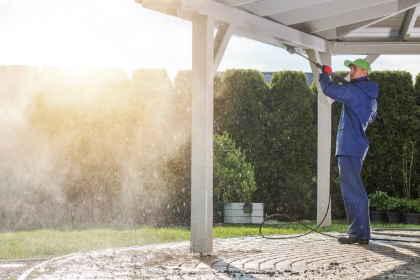 Trusted Valrico, FL Pressure Washing Services Experts